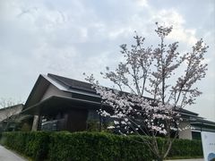 -良渚文化村