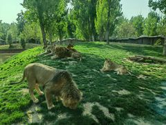 -北京野生动物园