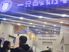-一只酸奶牛(八一路店)