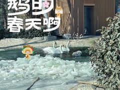 -太原动物园