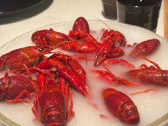 -红盔甲·小龙虾(天钥桥店)