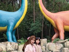 -佛冈森波拉度假区