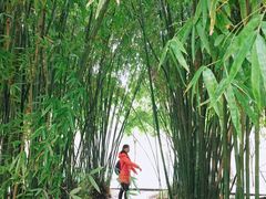 -贵阳市花溪国家城市湿地公园