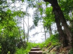 -青龙山国家森林公园