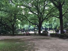 -上海交通大学医学院附属瑞金医院(总院)