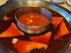 -田鸭肠·非遗火锅(彭州店)
