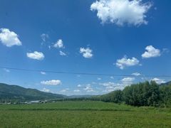 -塞罕坝国家级自然保护区