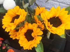 -雪蔓之鲜花气球派对(家佳源时代中心店)
