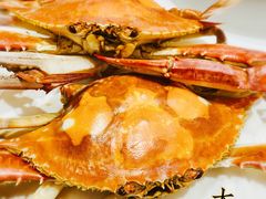 -北塘海鲜·天津菜(大光明桥旗舰店)