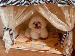 -FAELING PETS美天灵宠物(富力广场店)