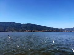 -滇池海埂公园