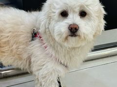 -肯德基(常熟百润发店)