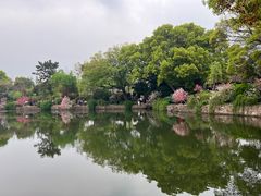 -无锡蠡湖国家湿地公园-蠡园