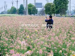 -中国天府农业博览园