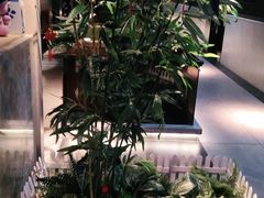 -老头儿油爆虾(星光一期店)