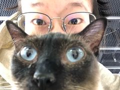 -猫和宫(六道口店)