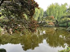 -秋霞圃