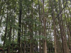 -成都杜甫草堂博物馆