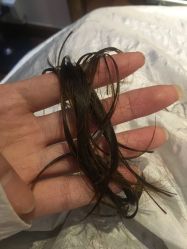 -ＤＯＭＯプロの美容サロン