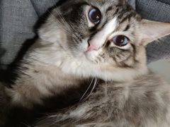 -白兔子密室(长寿路店)