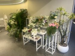-城市花园婚纱摄影
