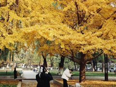 -中央民族大学