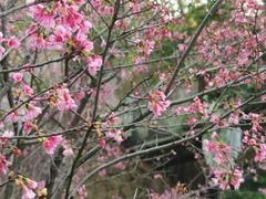 -乌山风景区