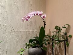 -畅和茶坊·曦瓜中国大红袍