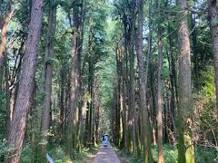 -同里国家湿地公园