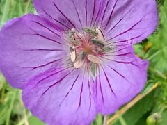 -秦岭终南山世界地质公园翠华山景区