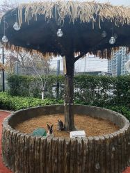 -造物庄园 萌宠纪(苏州湾歌林公园店)