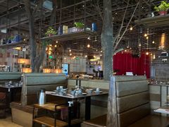 -同仁四季椰子鸡(宝安壹方城店)