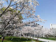 -中共上海市委党校 上海行政学院