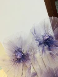 -美肤盾祛痘·问题肌头疗管理中心