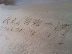 iphone_upload_pic-南丫岛