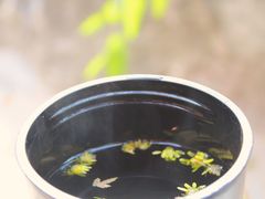-北京上方山国家森林公园