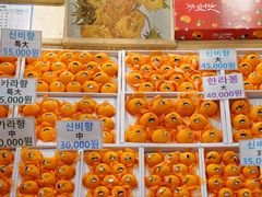 -西归浦每天偶来市场