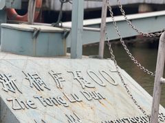 -严子陵钓台(富春江小三峡)