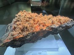 -湖南省科学技术馆