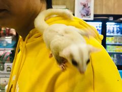 -藦茜花园宠物主题亲子互动体验馆(国顺东路店)