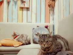 -小时光咖啡馆(开森度假森林店)