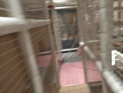 -超级奈尔宝SUPER NEOBIO(杭州星光店)