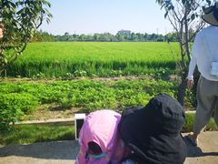 -九善农植有机生活农场