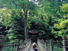 -凤栖山