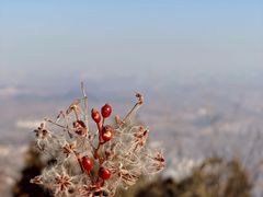 -鬼笑石后山停车场