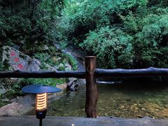 -王顺山国家森林公园