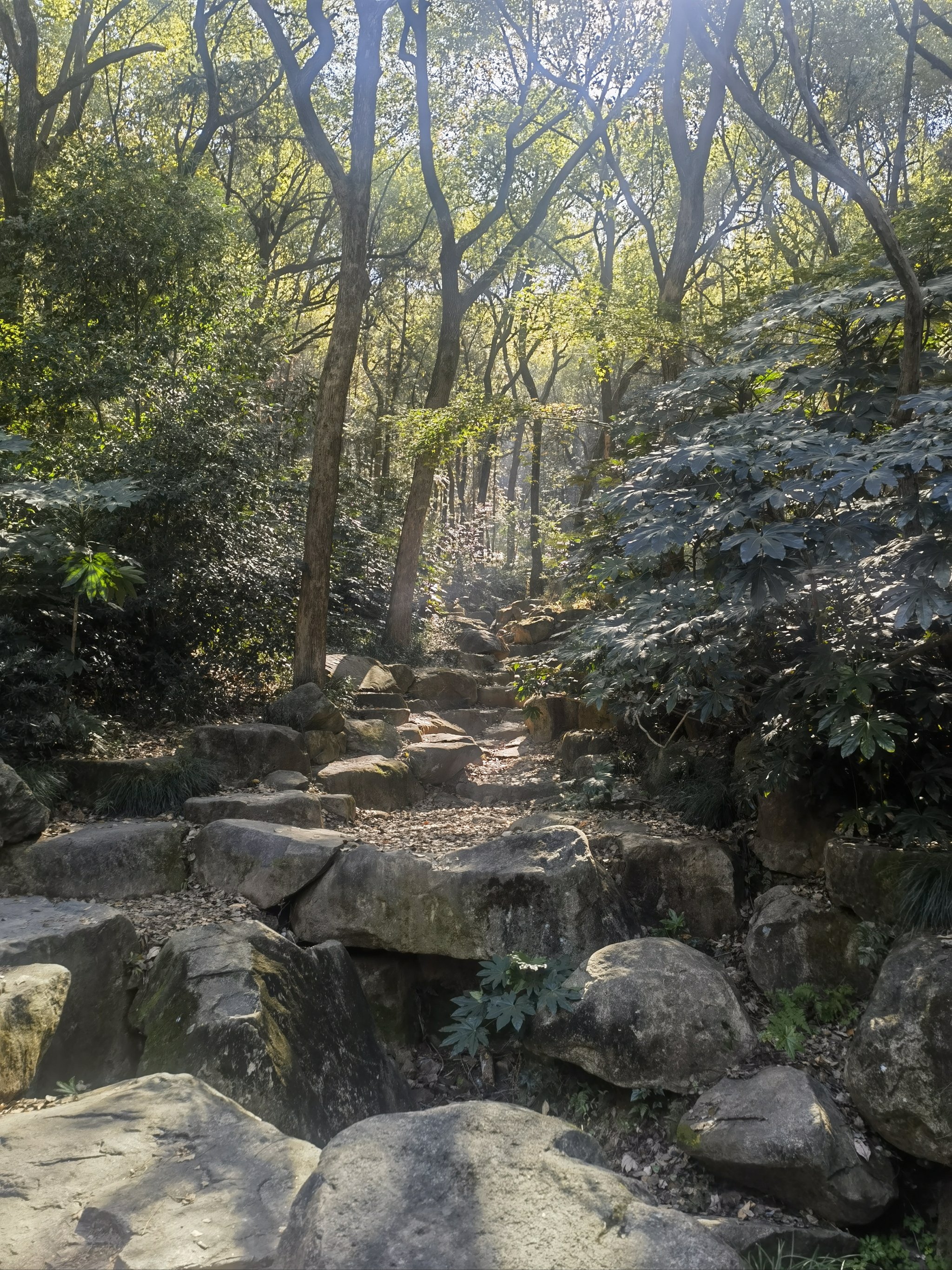 临平小城是隶属于杭州下的新城区