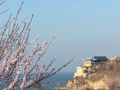 -辽宁团山国家级海洋公园