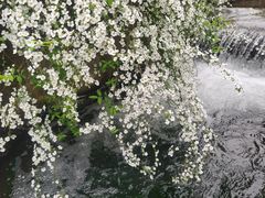 -中国茶叶博物馆(双峰馆区)