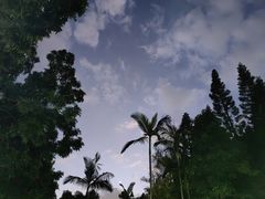 -人民公园(罗湖区)